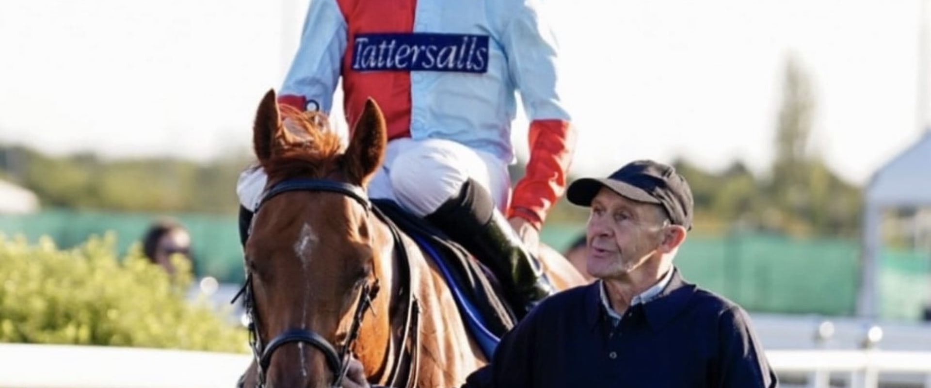 How to Spot a Successful Partnership in Horse Racing