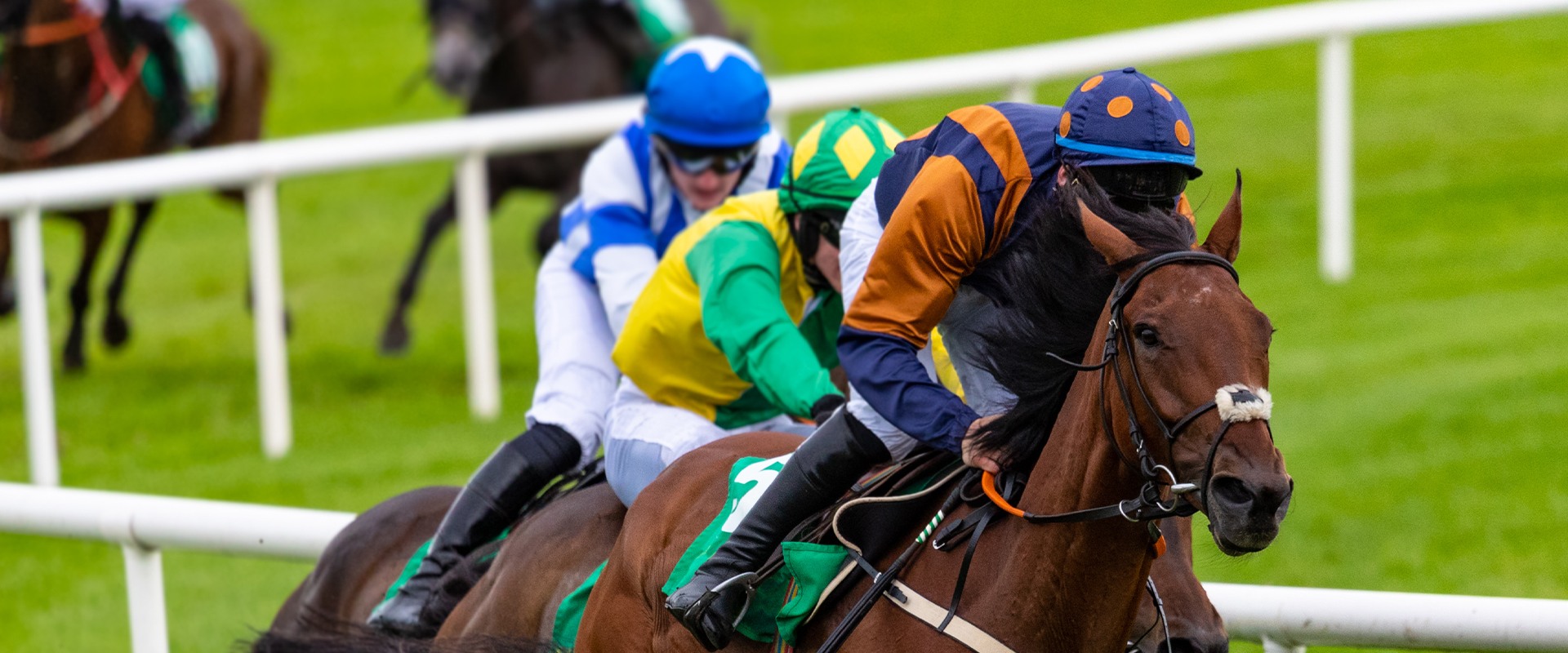 Hilliness and Sharpness of Tracks: Enhancing Your Horse Racing Experience
