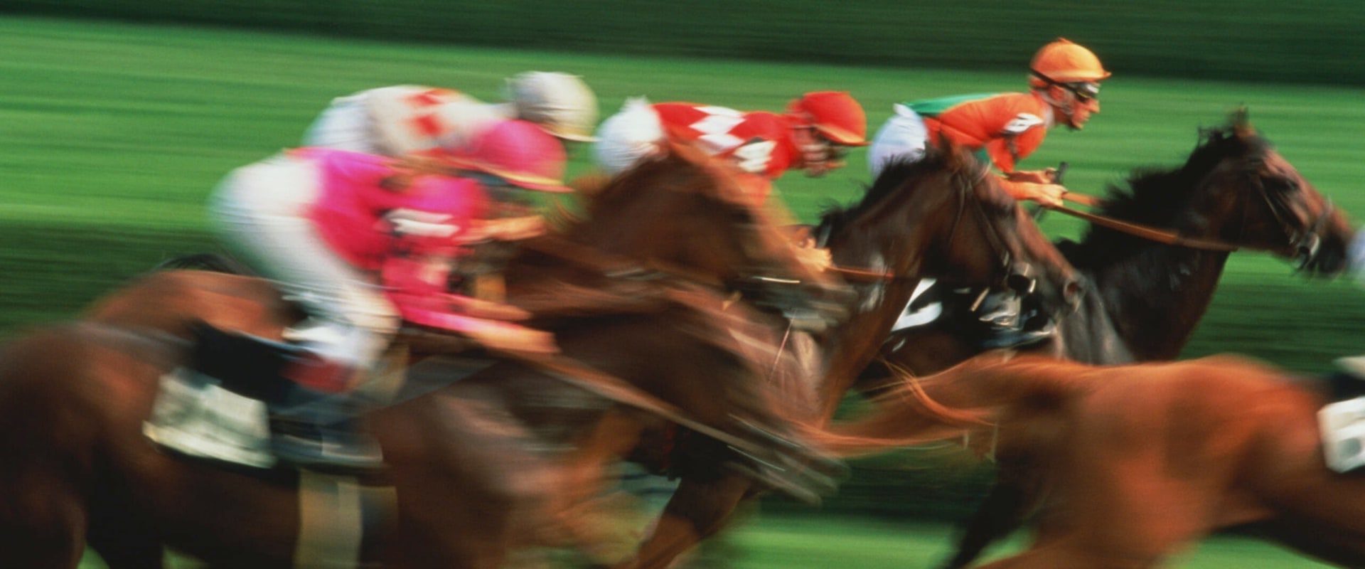 Breeding and Bloodlines: The Key to Success in Australian Horse Racing