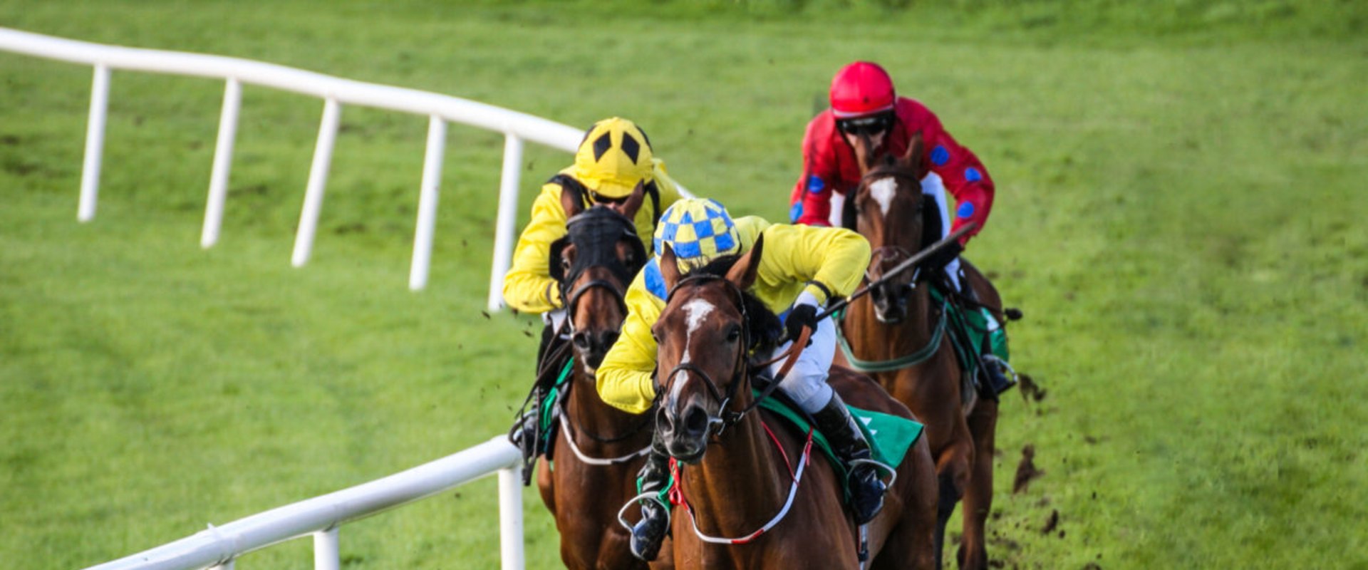 Jockey and Trainer Interviews: Insider Tips and Strategies for Horse Racing Enthusiasts