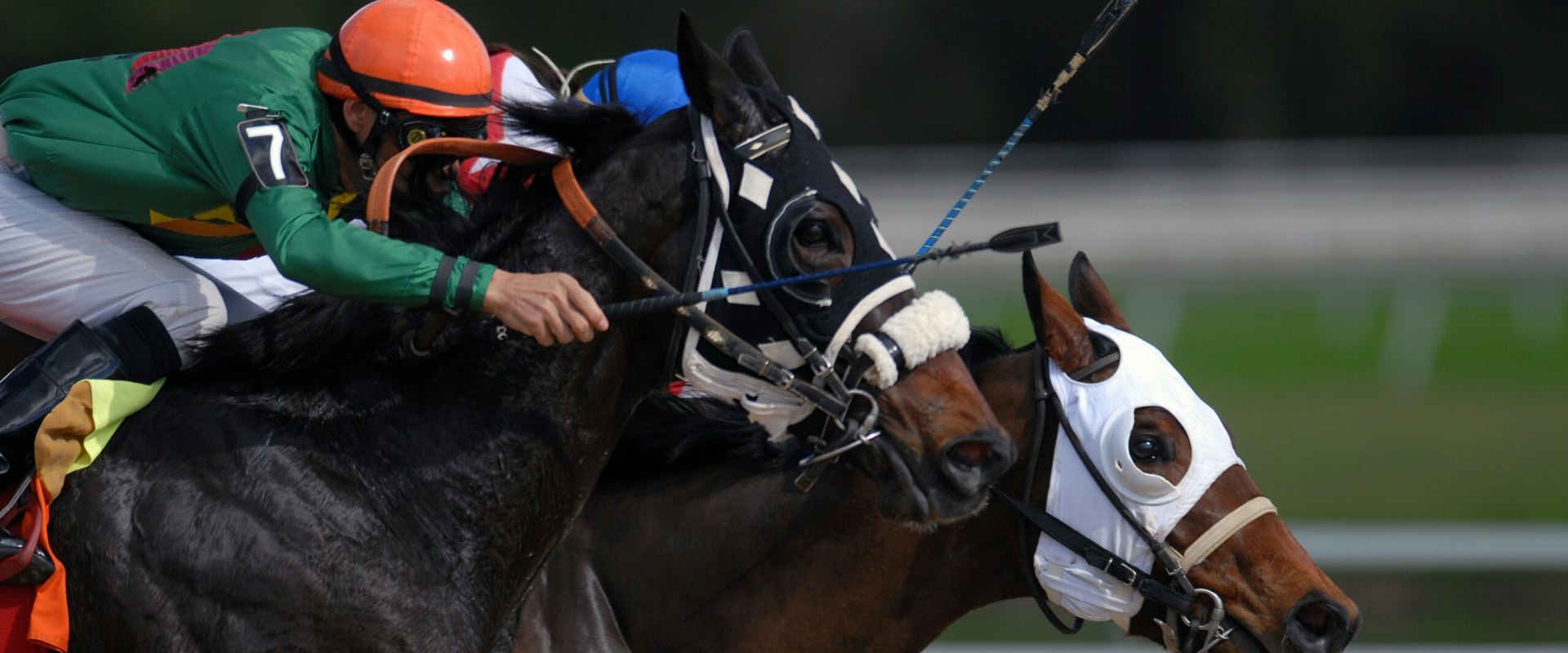 Maximizing Your Winnings: A Comprehensive Guide to Bankroll Management in Horse Racing Betting