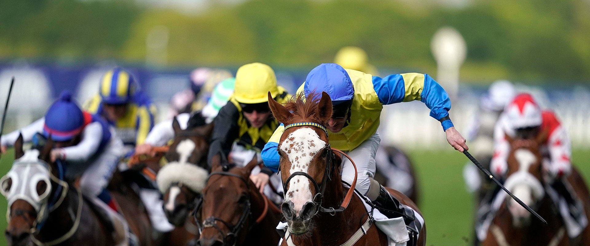 A Guide to Ascot Racecourse: Insider Tips and Information for Horse Racing Enthusiasts