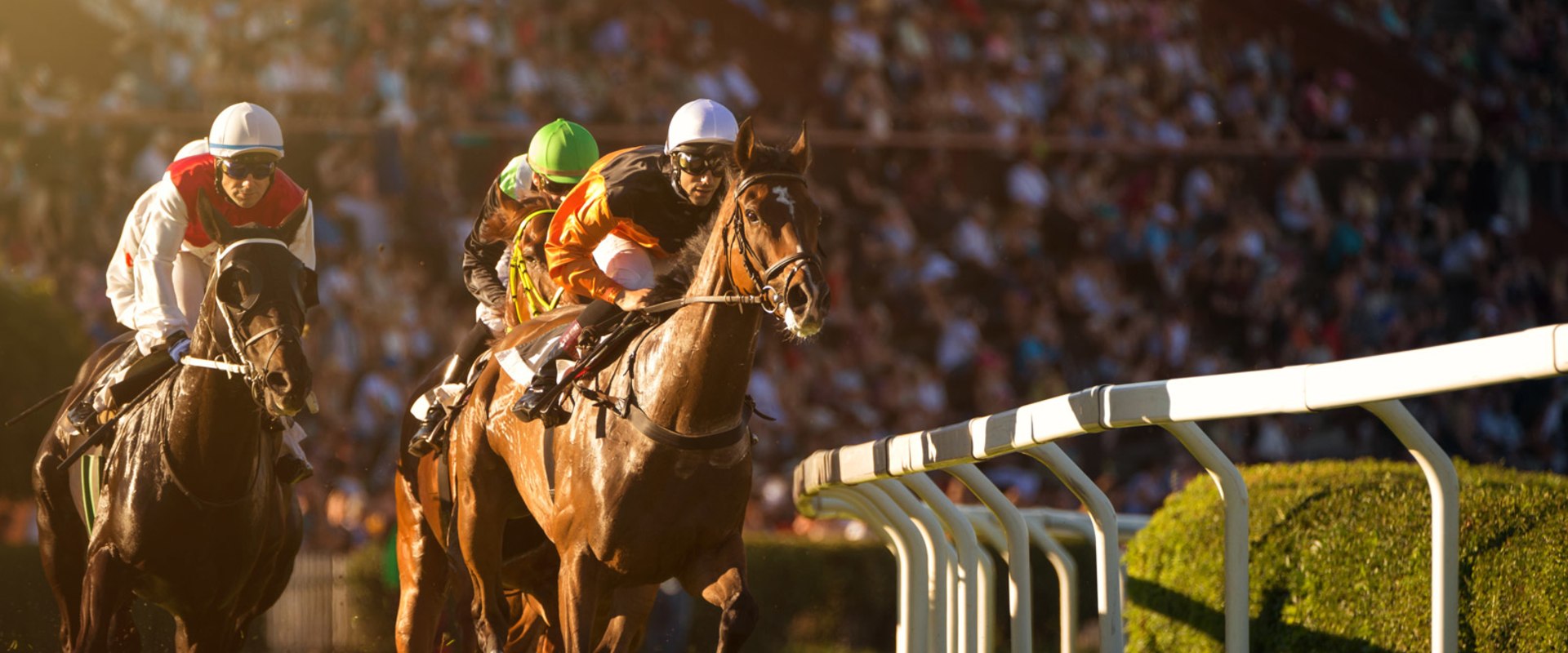 Unlocking the Secrets of Horse Racing: A Comprehensive Guide to Racecourse Form Guides