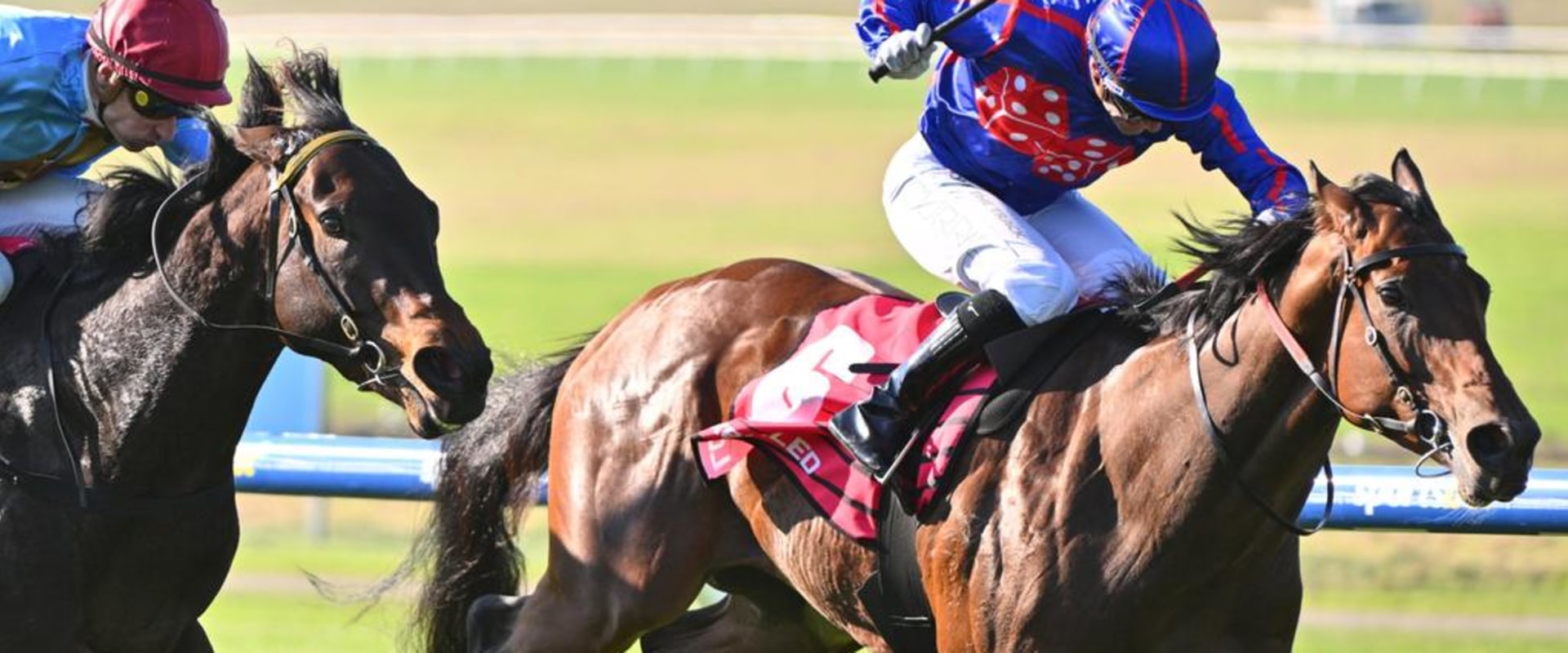 In-Play Betting Tips for Horse Racing in Australia and the Grand National Insider