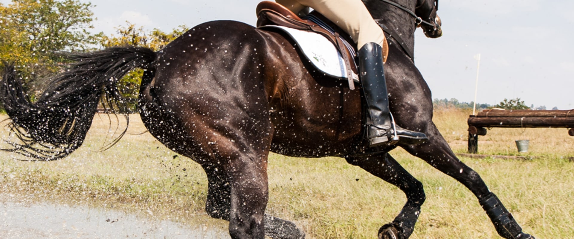 Discovering the Thrill of Horse Racing at Cheltenham Racecourse