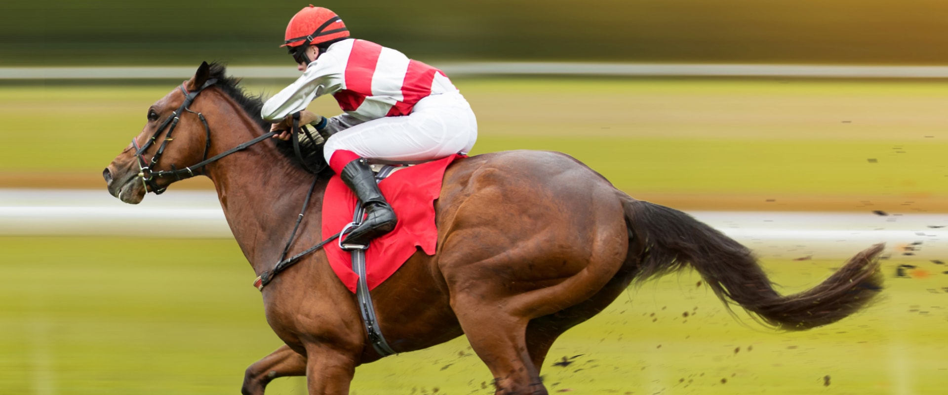 A Guide to Risk Management in Horse Racing Betting