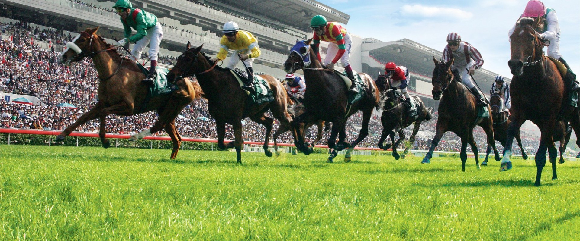 All You Need to Know About In-Play Betting Systems for Horse Racing in Australia and the Grand National Insider