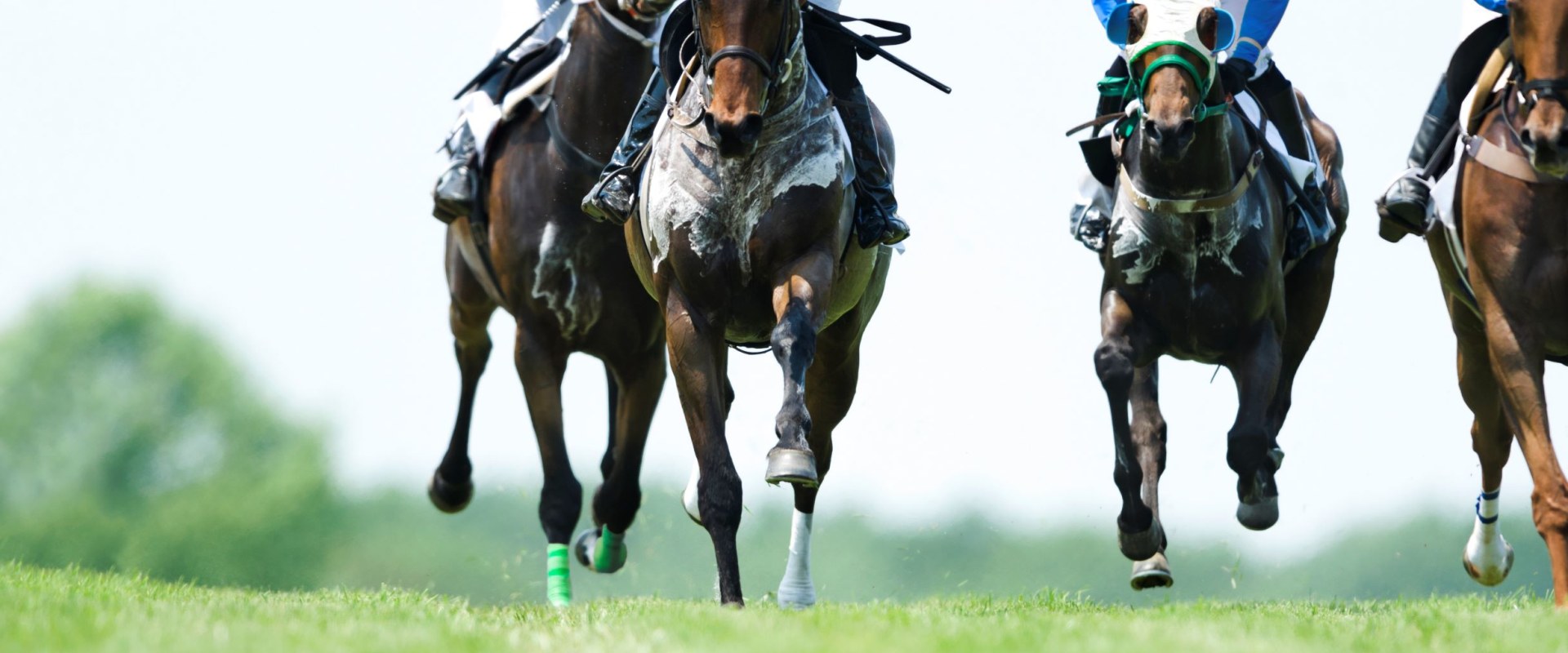 Types of Training Facilities for Horse Racing in Australia