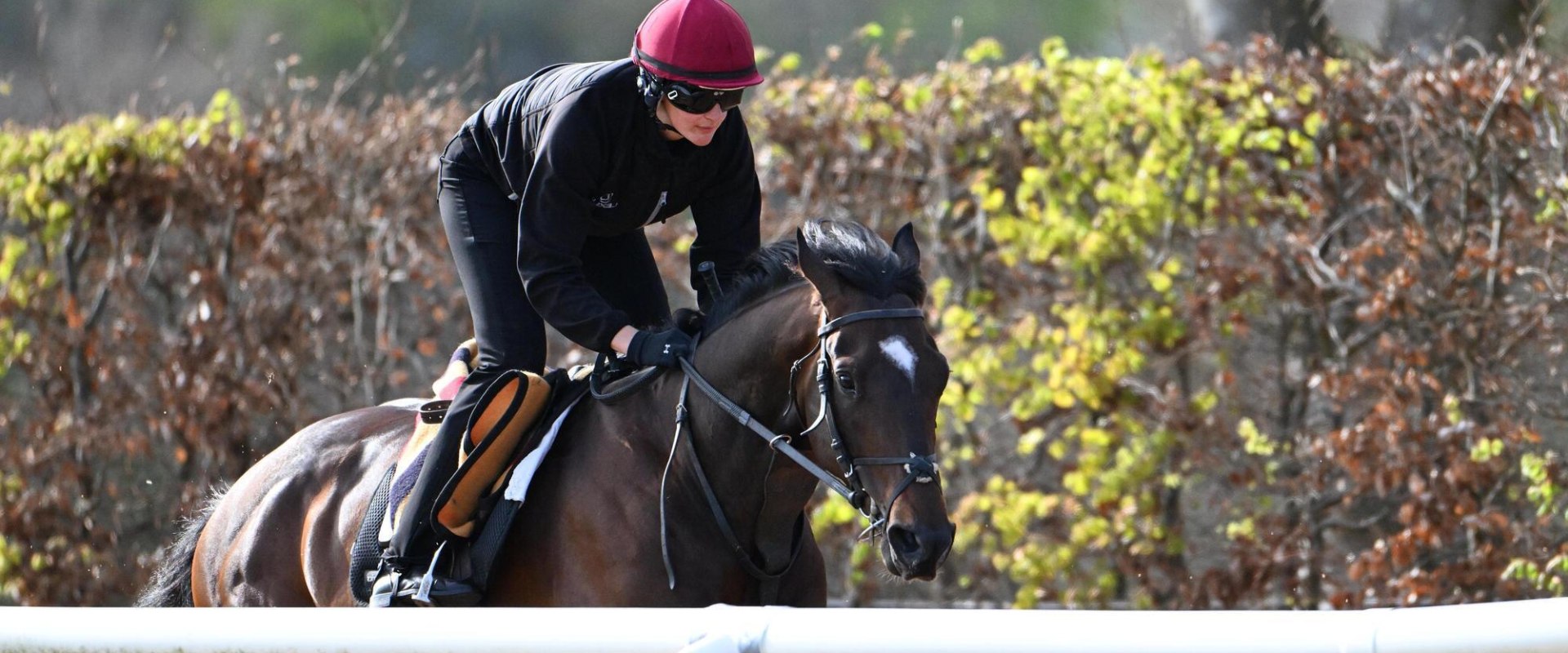 Aidan O'Brien: The Insider's Guide to the Famous Jockey and Trainer