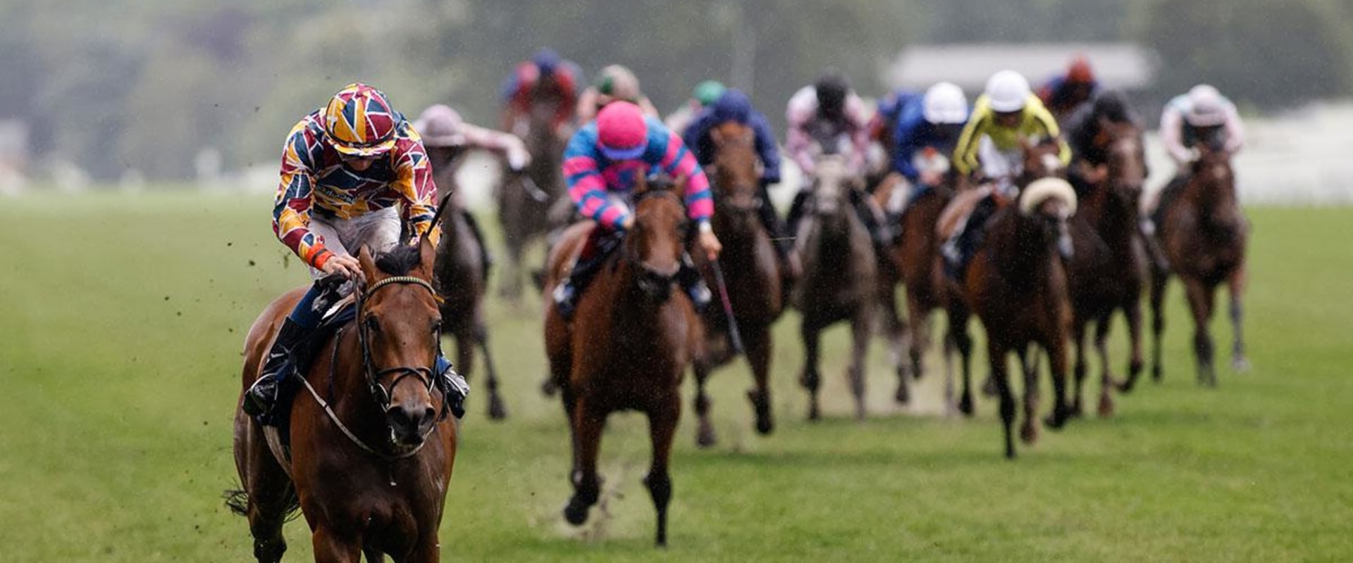 Insider Tips and Strategies for Horse Racing in Australia
