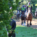 The Mental Attributes of Successful Racehorses