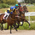 Training Schedules for Racehorses: Insider Tips and Strategies for Horse Racing in Australia