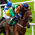 Hilliness and Sharpness of Tracks: Enhancing Your Horse Racing Experience
