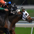 Avoiding Biased Insider Information in Horse Racing: Tips and Strategies