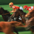 Breeding and Bloodlines: The Key to Success in Australian Horse Racing