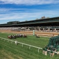 Horse Racing Betting Strategies: Insider Tips and Tricks for the Grand National and More