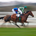 Enhance Your Horse Racing Experience: Insider Tips and Strategies