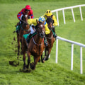 Jockey and Trainer Interviews: Insider Tips and Strategies for Horse Racing Enthusiasts