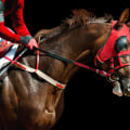 Exploring the Physical Attributes of Successful Racehorses
