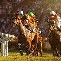 Unlocking the Secrets of Horse Racing: A Comprehensive Guide to Racecourse Form Guides