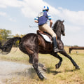 Discovering the Thrill of Horse Racing at Cheltenham Racecourse