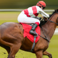 A Guide to Risk Management in Horse Racing Betting