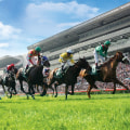 All You Need to Know About In-Play Betting Systems for Horse Racing in Australia and the Grand National Insider
