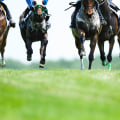 Types of Training Facilities for Horse Racing in Australia