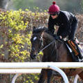 Aidan O'Brien: The Insider's Guide to the Famous Jockey and Trainer