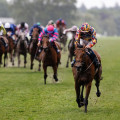 Insider Tips and Strategies for Horse Racing in Australia