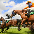 How to Utilize Insider Information for Successful Horse Racing in Australia