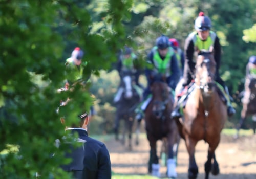 The Mental Attributes of Successful Racehorses