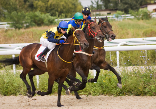 Training Schedules for Racehorses: Insider Tips and Strategies for Horse Racing in Australia
