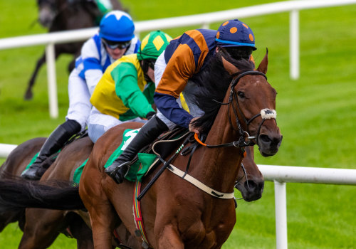 Hilliness and Sharpness of Tracks: Enhancing Your Horse Racing Experience