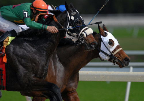 Maximizing Your Winnings: A Comprehensive Guide to Bankroll Management in Horse Racing Betting