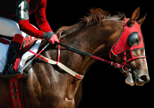 Exploring the Physical Attributes of Successful Racehorses