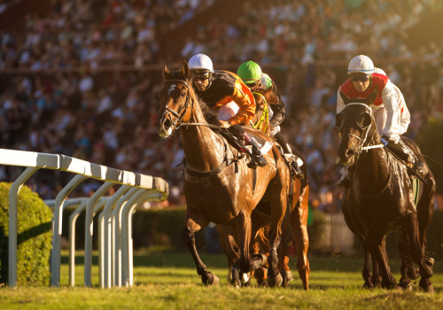 Unlocking the Secrets of Horse Racing: A Comprehensive Guide to Racecourse Form Guides