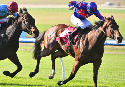 In-Play Betting Tips for Horse Racing in Australia and the Grand National Insider