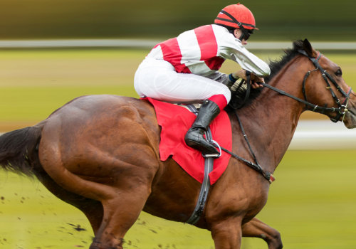 A Guide to Risk Management in Horse Racing Betting