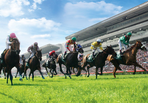 All You Need to Know About In-Play Betting Systems for Horse Racing in Australia and the Grand National Insider