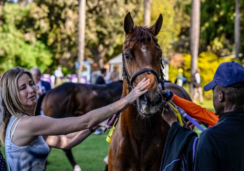 Uncovering the Consequences of Using Illegal Insider Information in Horse Racing