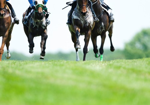 Types of Training Facilities for Horse Racing in Australia