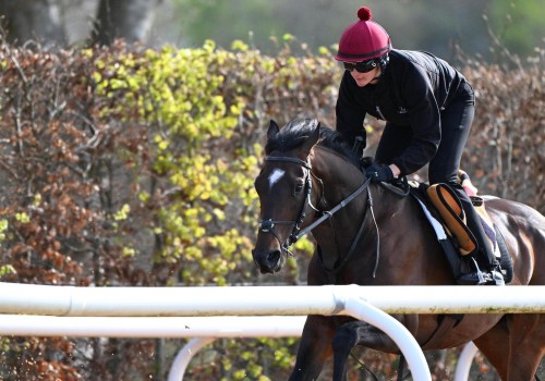 Aidan O'Brien: The Insider's Guide to the Famous Jockey and Trainer