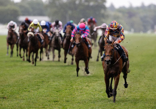 Insider Tips and Strategies for Horse Racing in Australia